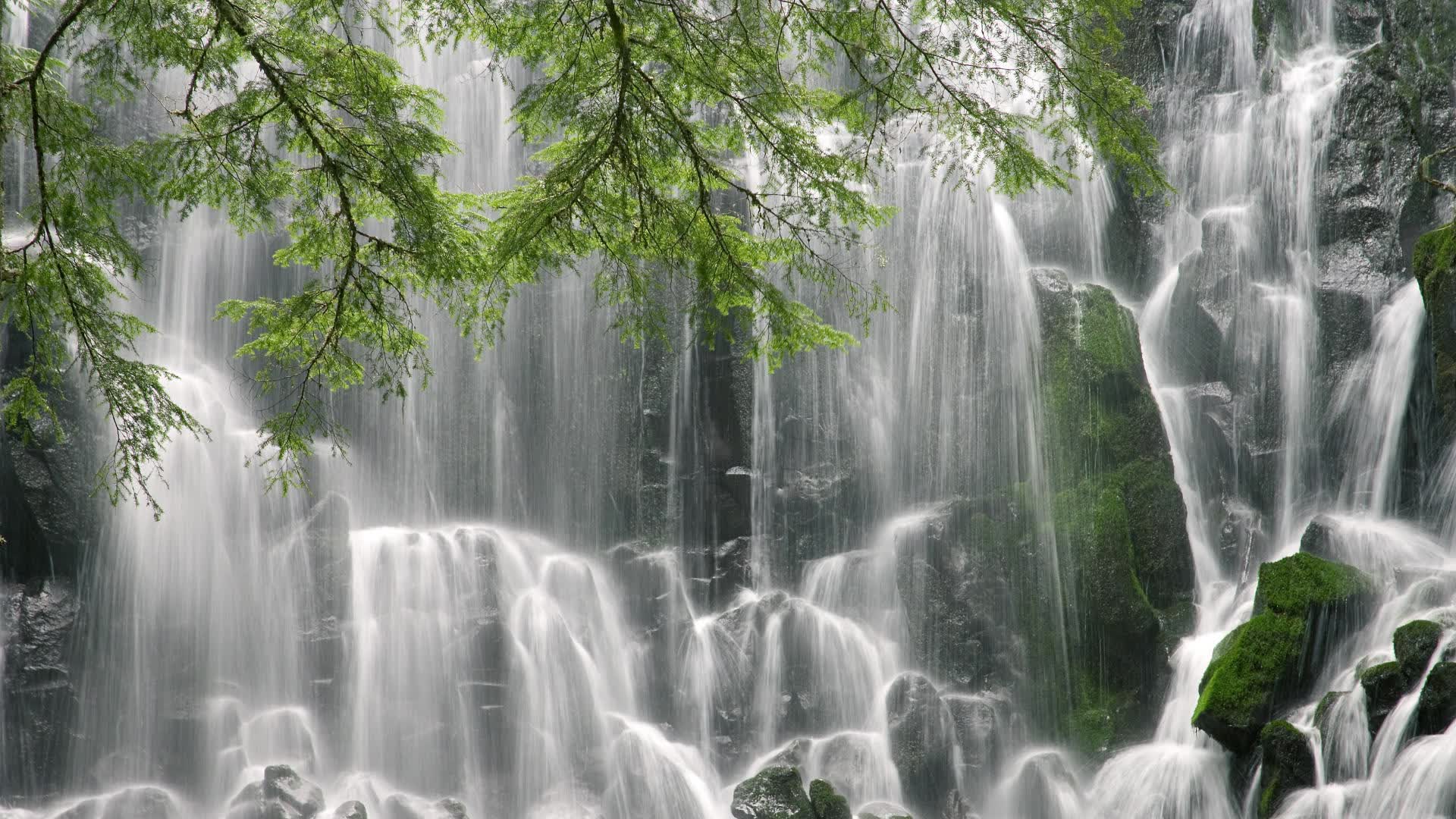 世界体能挑战赛：专项测评标准化便于国际对比，体能挑战赛活动方案